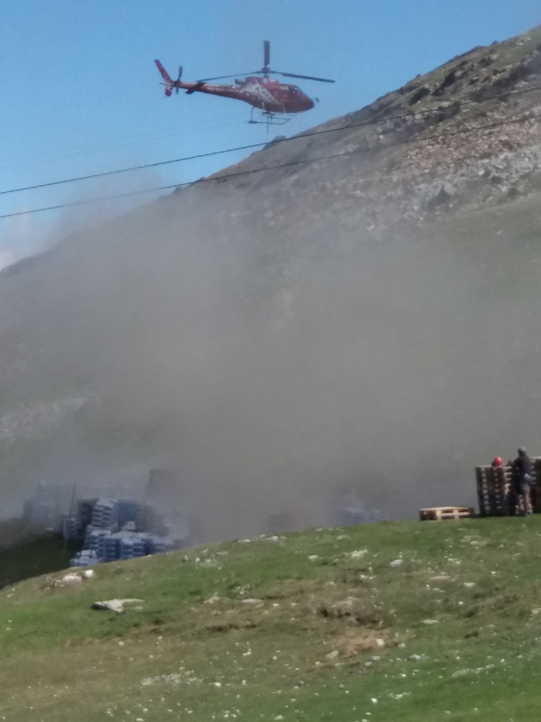 Anlieferung Holz.jpg