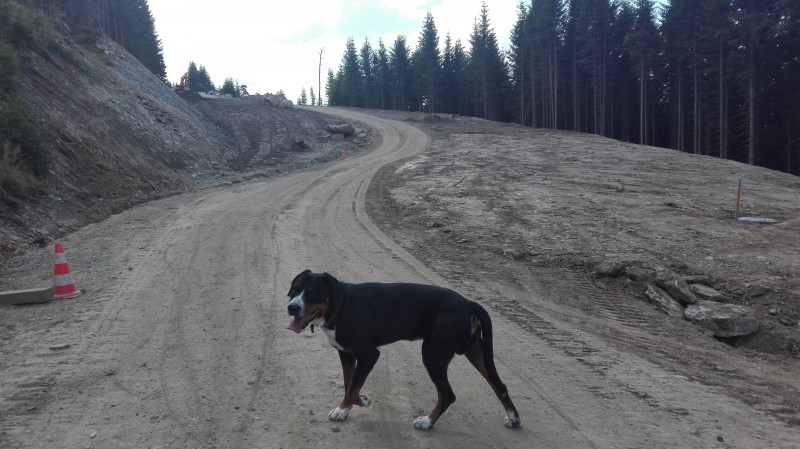 Weiterer Verlauf mit Vitali