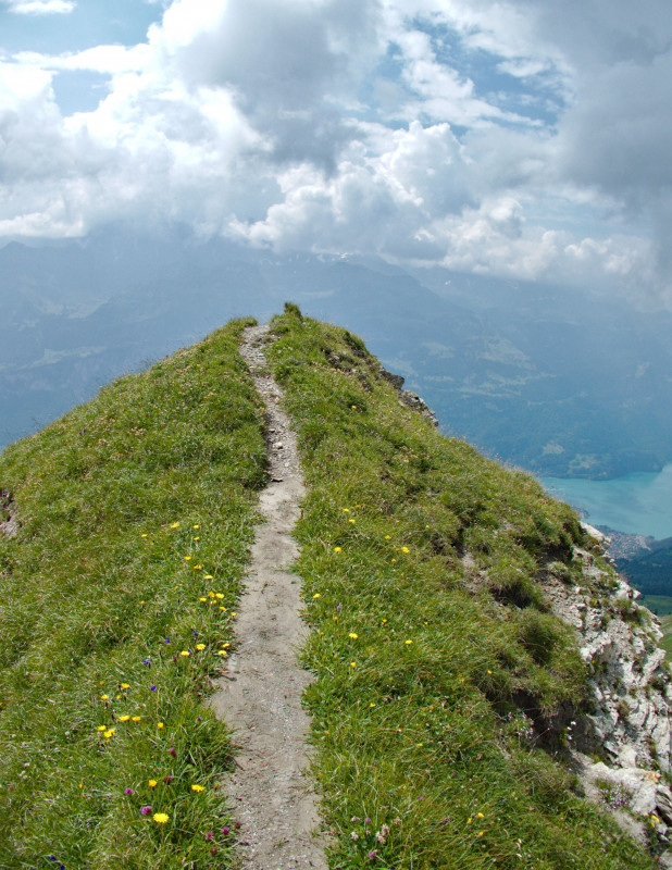 Brienzerrothorn2 122.jpg
