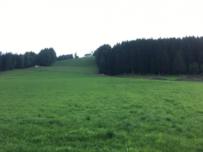 Blick hinauf, Höhe Beschneiungsteich