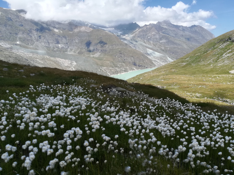 Sieht gar nicht so anders aus als vergangenes Wochenende im Engadin.