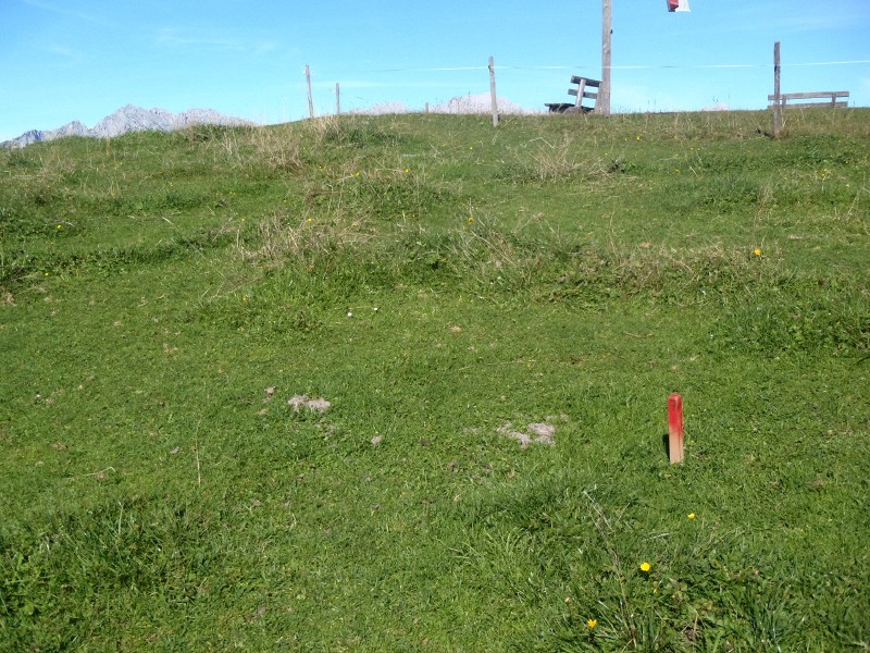 Pflock 7 mit Blick nach Osten