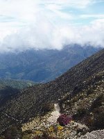 Maultierpfad nach Los Nevados