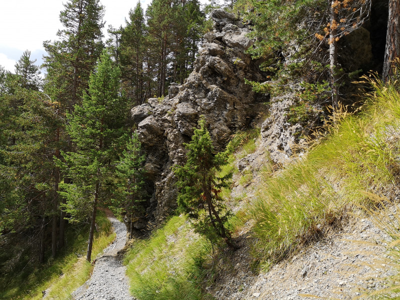 Der Weg führt nett angelegt stetig abwärts gehend dem relativ steilen Hang entlang, bis man auf die Kiesstrasse trifft
