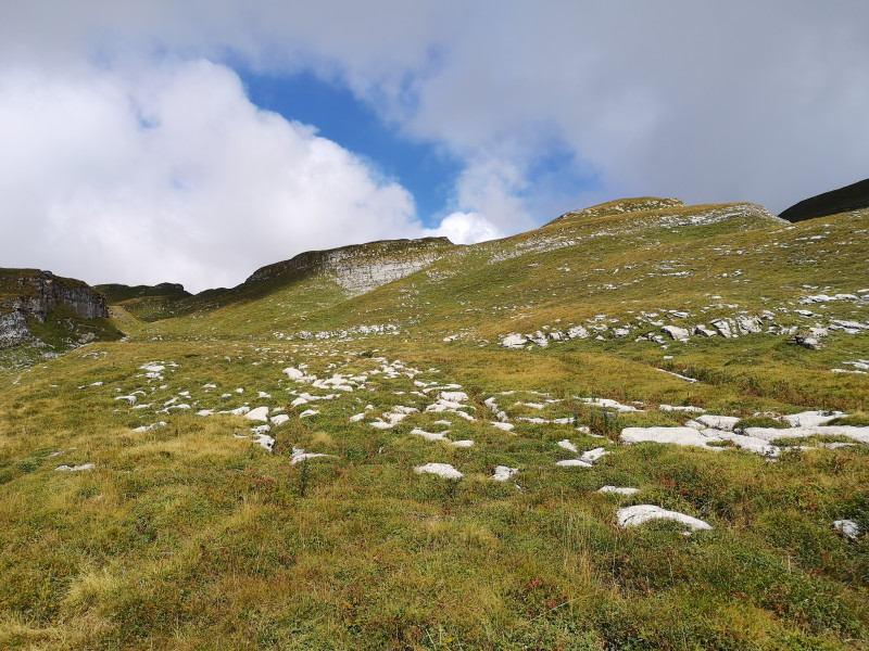 Karstlandschaft auf dem Flimserstein