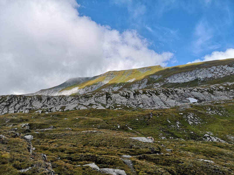 Die Landschaft und die Ruhe in Kombination mit dem Nebel und den Lichtspielen ergaben eine spezielle Atmosphäre