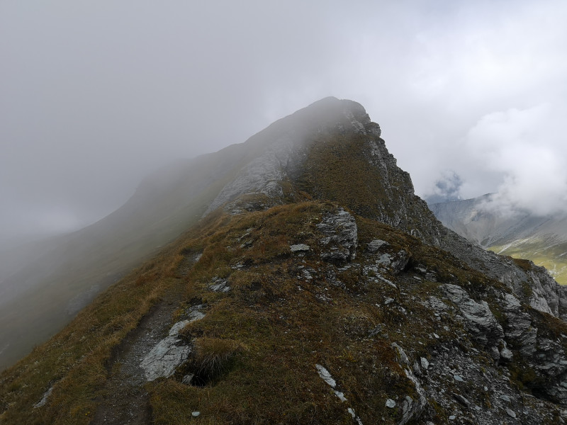 Die nächste Nebelschwade ist aber bereits im Anmarsch