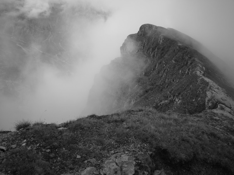 Eine der wenigen Szenen in dene der Monochrom-Sensor des Handys passend war