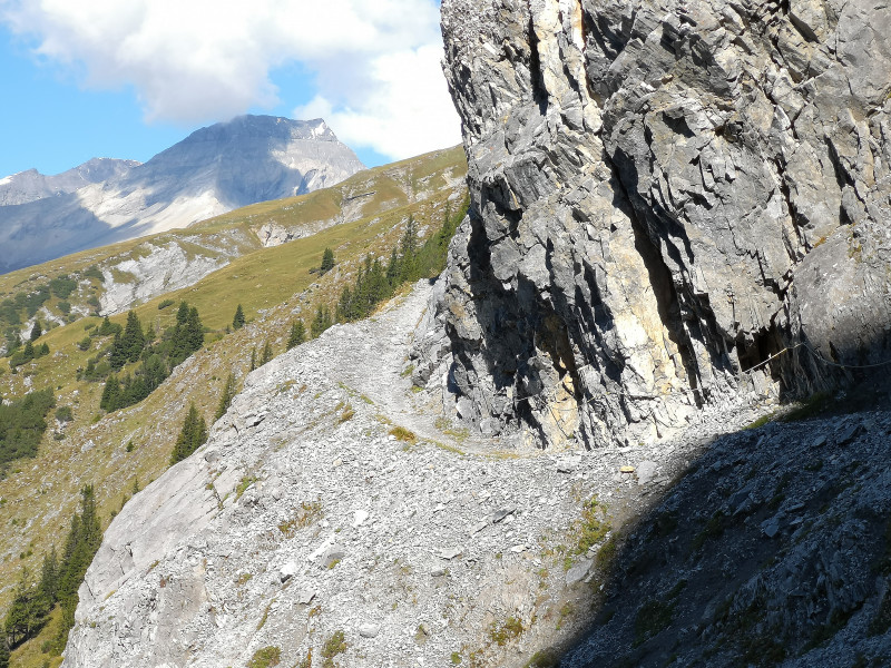 Wanderweg mit Seil, im Hintergrund der Piz Dolf (Trinserhorn)