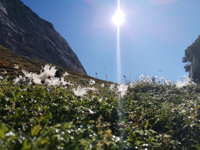 Bereits auf dem Aufstieg zum höchsten Punkt der Wanderung
