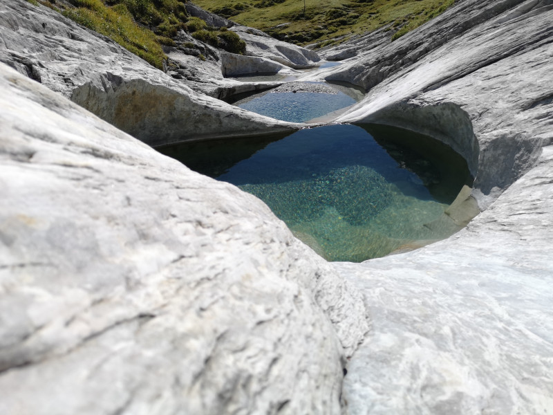 Einfach ein faszinierendes Spektakel der Natur