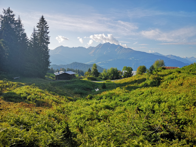 Unterhalb Runca. Im Bild, wer hätte es gedacht, der Piz Riein.