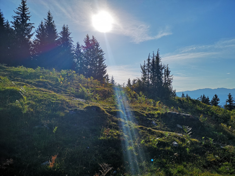 Bei der Runca angelangt, immer noch bei bestem Wetter. Nun ging es weiter Richtung Plaun.