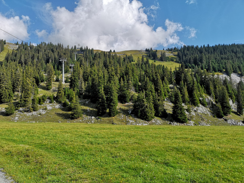 Bei der Station Plaun angelangt