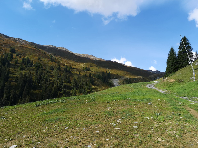 Durch die Lanzen der Beschneiung ist der Abschnitt von Plaun bis zur Brücke leider nicht besonders schön. Im Winter ist man dann aber wieder über die Beschneiung an diesem sonnenexponierten Hang dankbar.