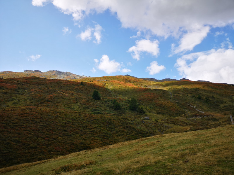 In der Sonne leuchteten die Farben richtig. Von hier ging es dem Tal entlang sanft aufwärts, bis wir an der nächsten Verzweigung nach links abgebogen sind.