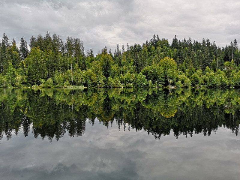 Eines meiner Lieblingsbilder der Woche