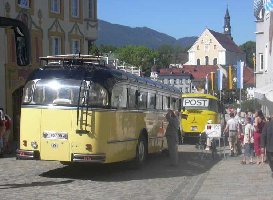Saurier aus Zell am See.jpg