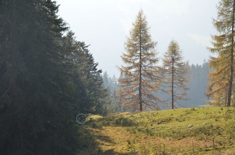 Blick von Stütze 8 zur Stütze 7