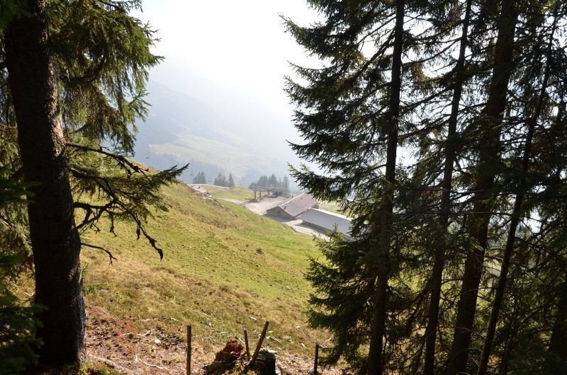 Blick zur Fleiding-Mittelstation vom südlichen Waldrand
