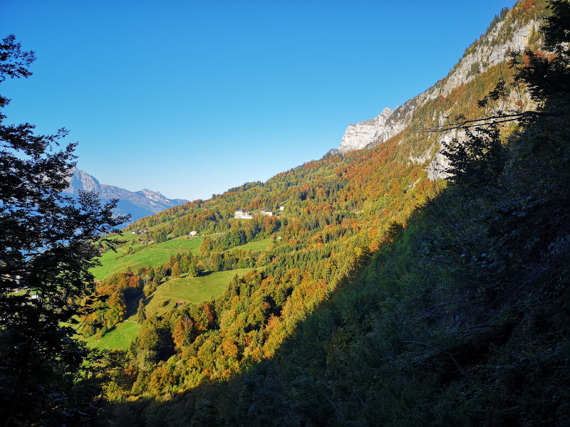 Blick hinüber zur Reha-Klinik. An der Sonne wirkt die herbstliche Färbung des Waldes nochmals stärker.