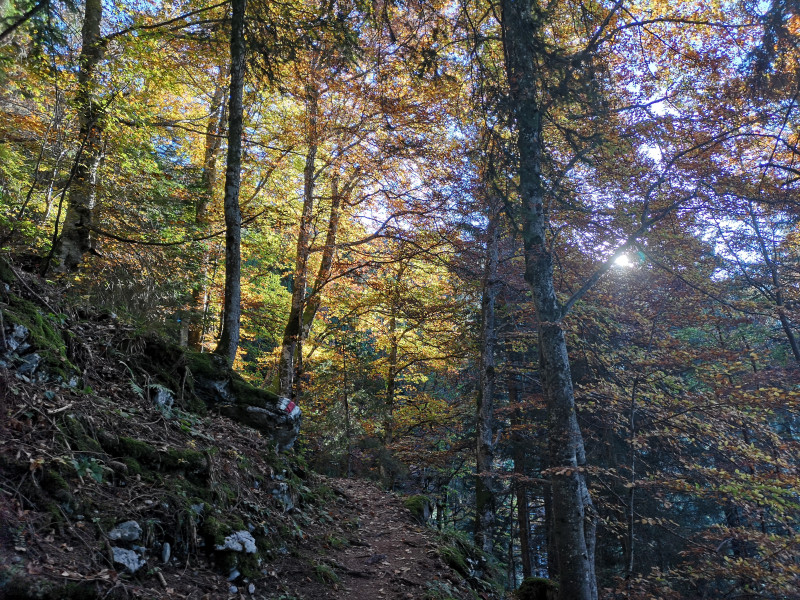 Die Sonne kommt in Sicht