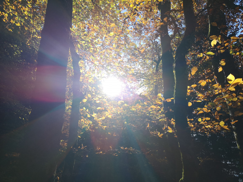 Und an der Sonne angelangt