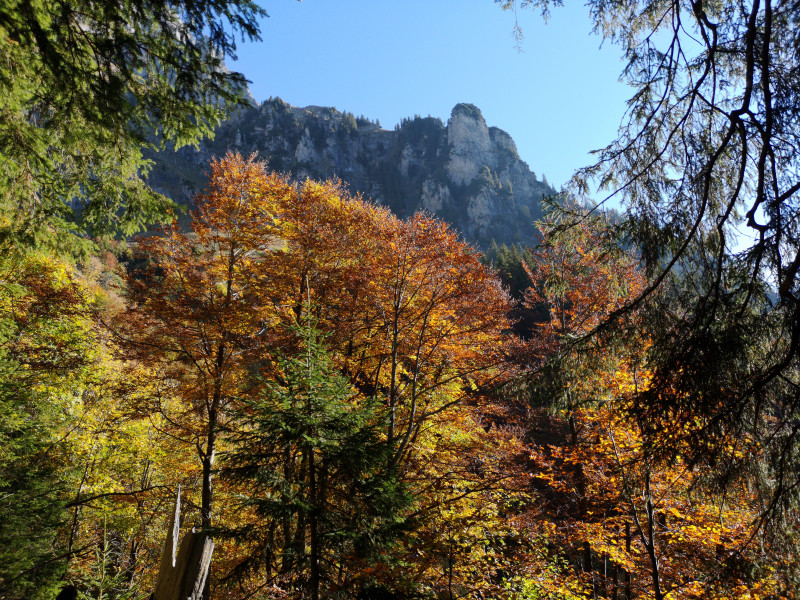 Und zum Dritten mal, man konnte sich kaum sattsehen