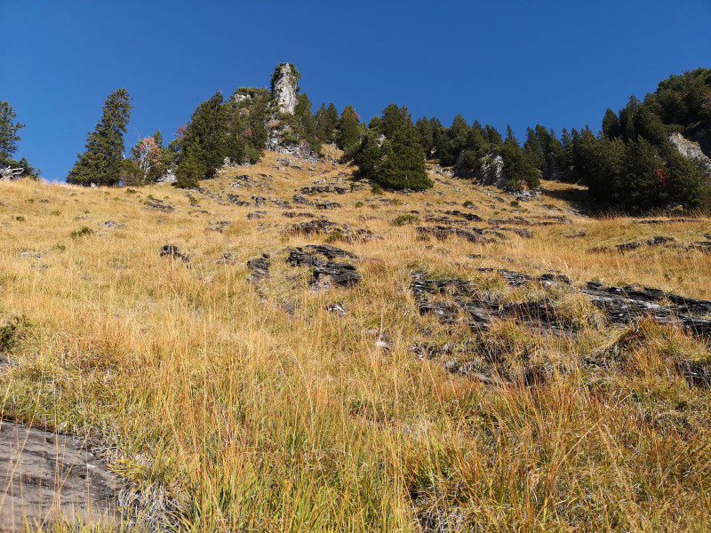 Blick nach oben: Spezielle Landschaft hier