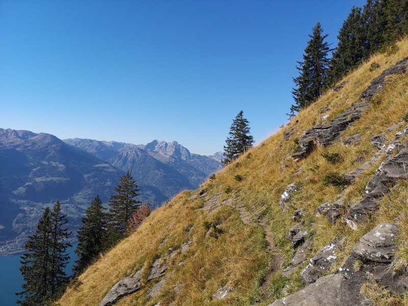 Der Weg ist etwas schlechter als auf den meisten Bergwanderwegen, es müssen immer wieder die sichtbaren kleinen Felsen überquert werden. Insgesmat habe ich den Weg aber als unproblematisch empfunden, auch da der Hang nur eine steile Wiese ist und nicht unmittelbar ein Abgrund folgt.