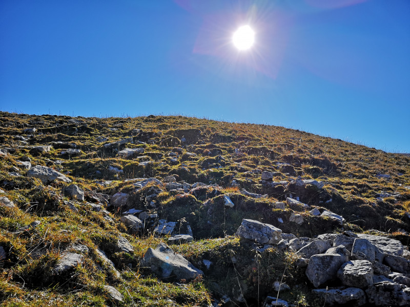 Nachmittägliche Stimmung