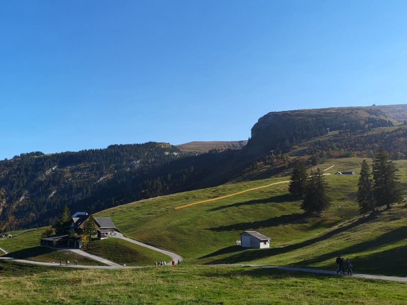 Auf Iltios angekommen. Warum bereits jetzt bis hier auf 1300 Meter diese orangen Zäune entlang der Pisten montiert wurden, erschiesst sich mir nicht ganz