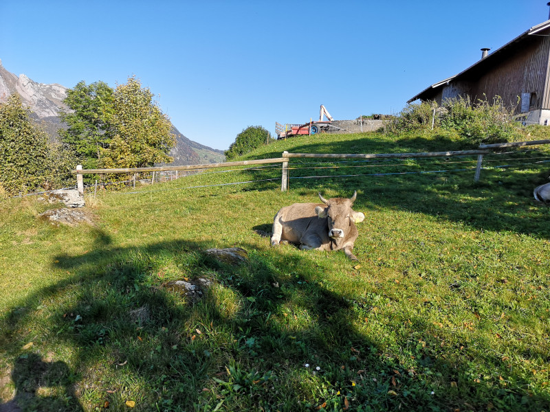 So ging es über Weiden Richtung Unterwasser