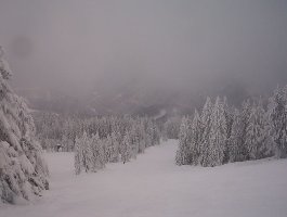 Mulden Abfahrten.jpg