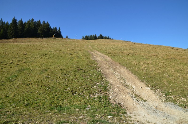 Fleiding Südabfahrt 117a oberer Hang