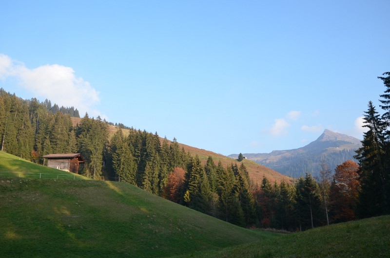 Bereich der neuen Talstation, Blick nach S