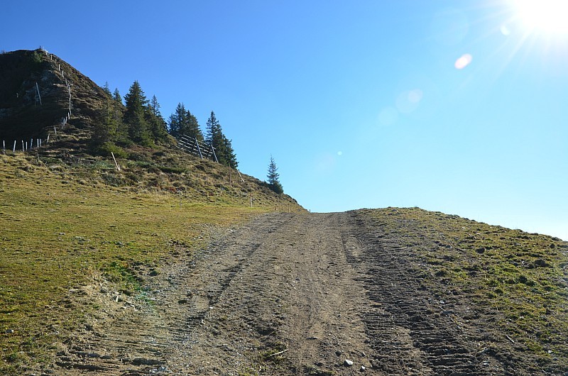 Böschungsmarkierungen östlich der Piste im Fleiding-Gipfelhang