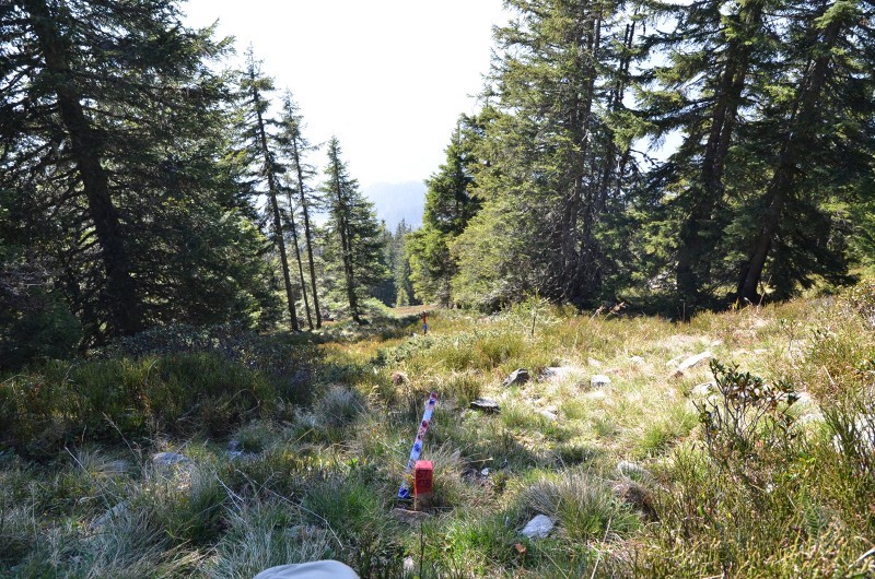 Stützen 13A und 13B unterhalb Bergstation