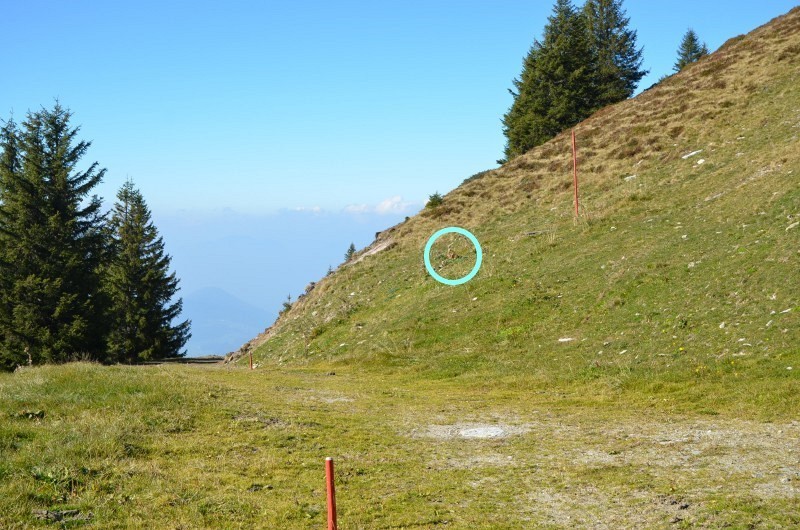Lage der Einfahrt Bergstation im Fleiding-Gipfelhang
