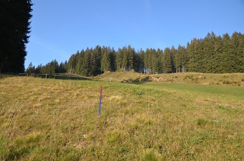 Markierung Stütze 1