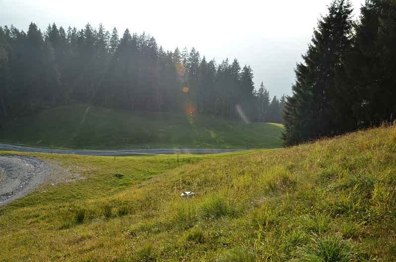 Blick von St. 1 nach unten.