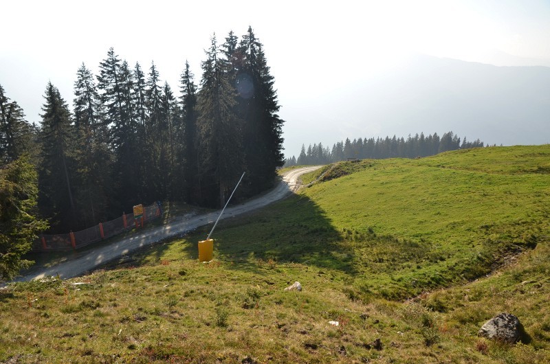 Nach der Pistenkreuzung am Wald entlang.