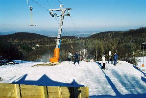 Doppelmayr Schlepplift.jpg