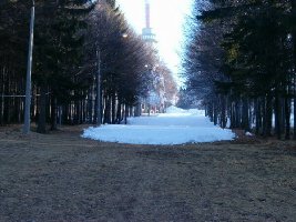 Teppich vom Schnee.JPG