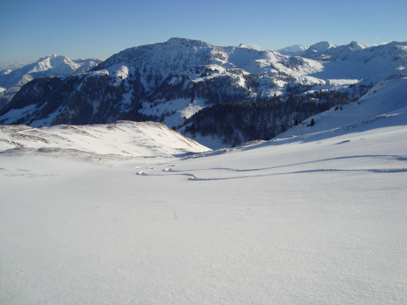 Horn 14.12.2018 124.JPG