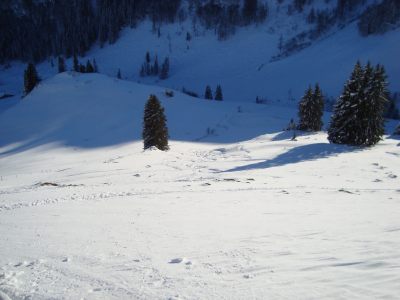 Horn 14.12.2018 138.JPG