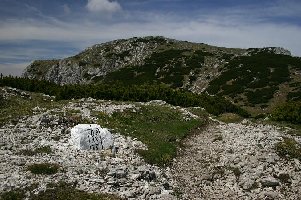 Jetzt ist es nicht mehr weit zum 2125 m hohen Gipfel. Ein Stück des Weges geht genau entlang der Grenze.