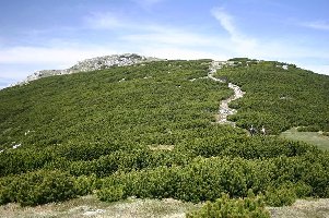 Jetzt soll mir bitte keiner sagen das man hier keine interessanten Pisten bauen könnte!