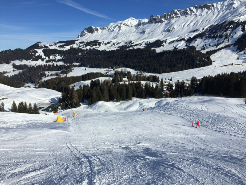 Piste 78c. Nach der Abzweigung Richtung Parpan angenehm zu fahren. Viele Skischulen sind hier unterwegs.