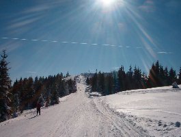 Unterberg_6. März 2004.jpg